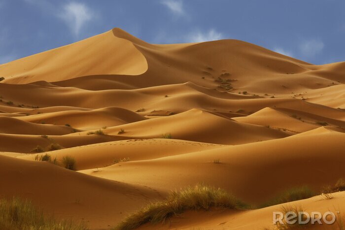 Papier peint  Dunes dans le désert du Sahara