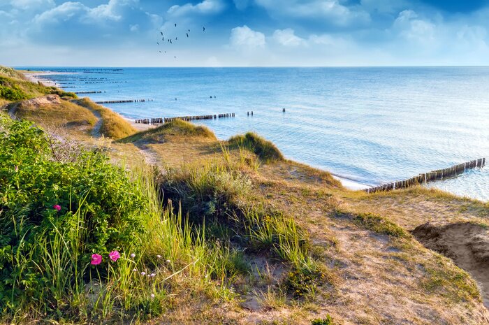 Papier peint  Dunes et vue panoramique sur la mer