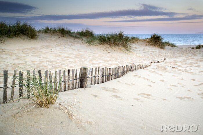 Papier peint  Dunes herbeuses au bord de la mer