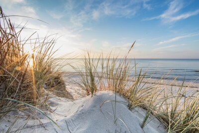 Papier peint  Dunes, sable, mer et herbe sèche