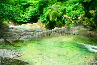Papier peint  Eau transparente dans la forêt vierge