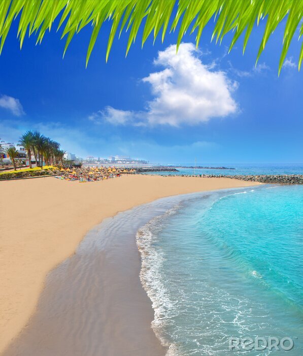 Papier peint  Eau turquoise à Tenerife