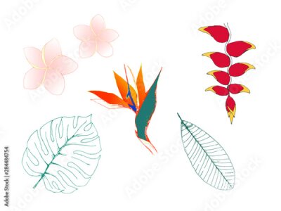 Papier peint  Eco set of tropical plants. Jungle exotic selection of strelitzia, frangipani, heliconia, palm leaves, monstera leaves. EPS8 vector illustration