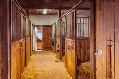 Papier peint  Ecurie avec des boxes pour les chevaux