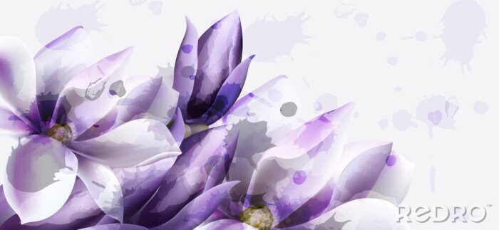 Papier peint  Een slaperige orchidee met paars gespetterde bloemblaadjes