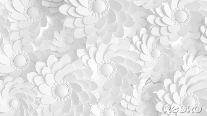 Papier peint  Élégance blanche comme fleurs 3D