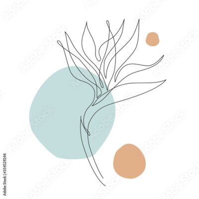 Papier peint  Elegant continuous line drawing. Minimal art flower on geometric shapes backgroud.