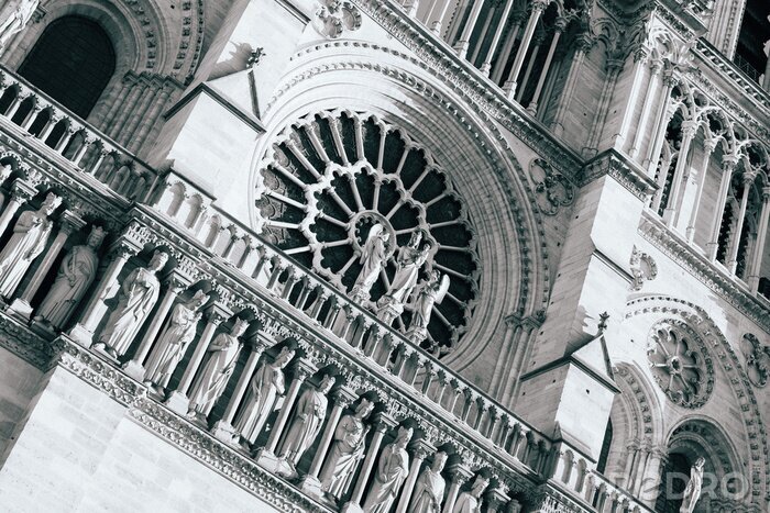 Papier peint  Elément noir et blanc cathédrale Notre-Dame