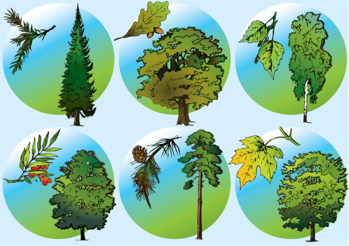 Papier peint  Éléments d'arbres de conte de fées