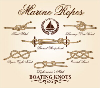 Éléments noeuds marins vecteur