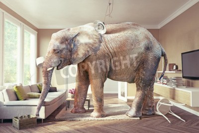 Papier peint  Eléphant 3D dans une chambre