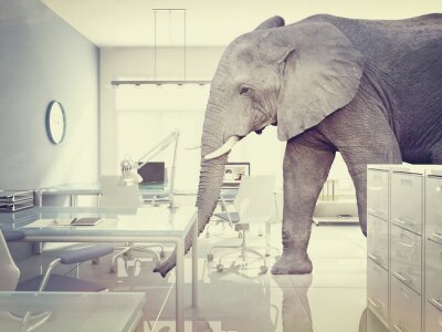Eléphant dans un espace de bureau