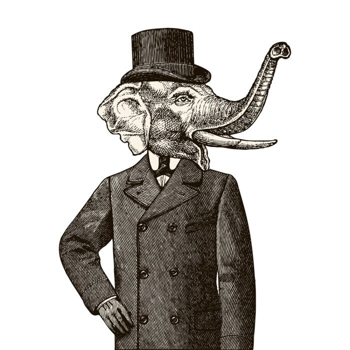 Papier peint  Eléphant en tenue chic