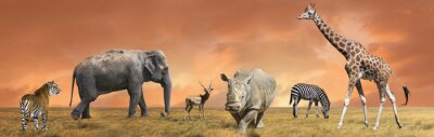 Papier peint  Eléphant et animaux africains
