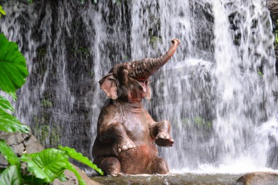 Papier peint  Éléphant et chute d'eau dans la jungle
