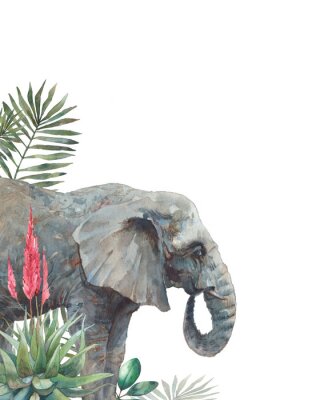 Papier peint  Éléphant gris et feuilles de palmier