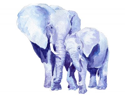 Papier peint  Eléphants peints à l'aquarelle