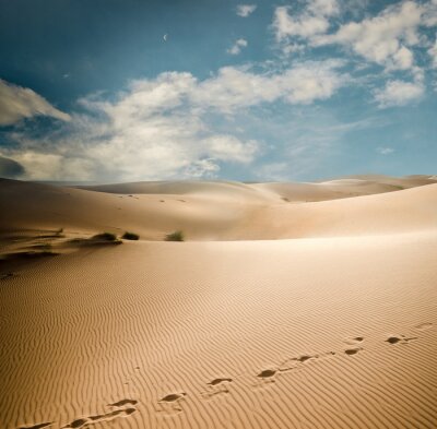 Empreintes de pas sur des dunes de sable du Sahara