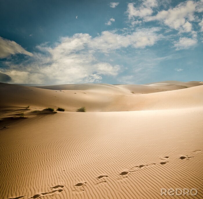 Papier peint  Empreintes de pas sur des dunes de sable du Sahara