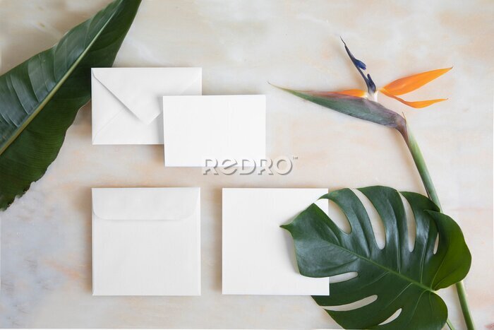 Papier peint  Empty card with envelope on marble table and tropical flowers. Mockup template with top view. Strelitzia flowers and monstera leaves on marble floor.