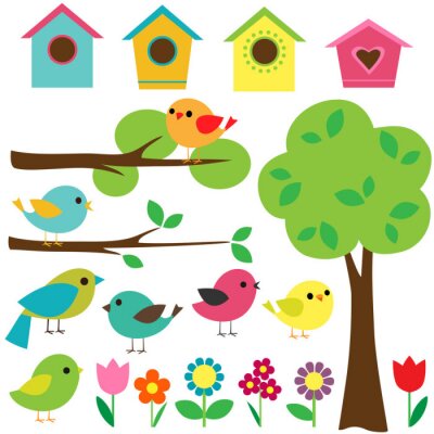 Ensemble de graphiques colorés oiseaux arbres fleurs