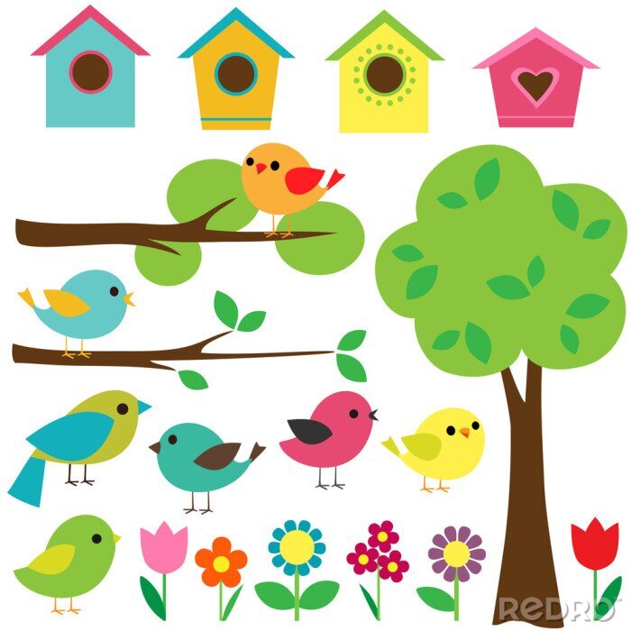 Papier peint  Ensemble de graphiques colorés oiseaux arbres fleurs