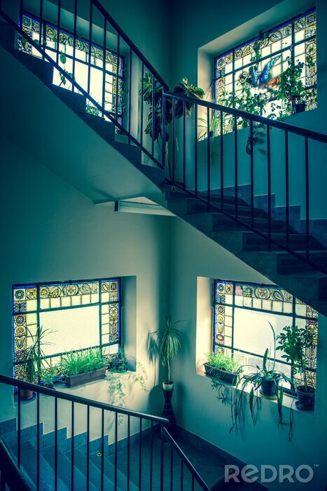 Papier peint  Escalier avec des plantes