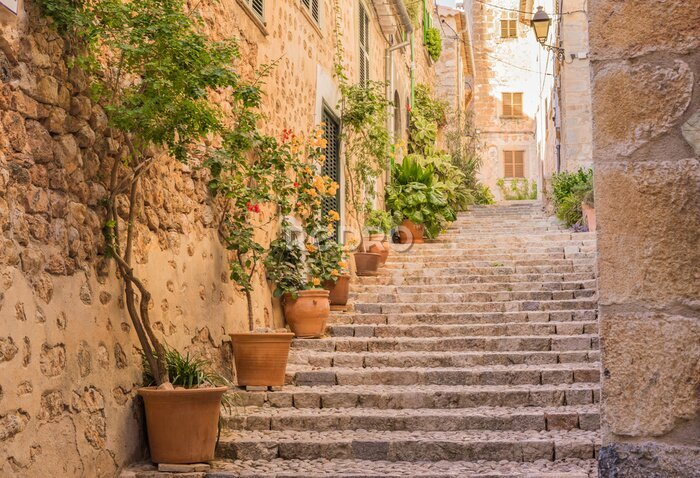 Papier peint  Escalier avec pots dans une ville italienne