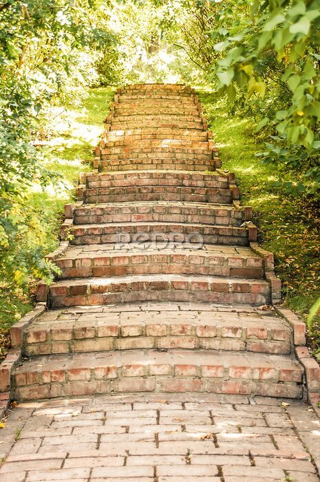 Papier peint  Escalier vintage dans un jardin