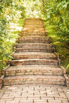 Papier peint  Escalier vintage dans un jardin
