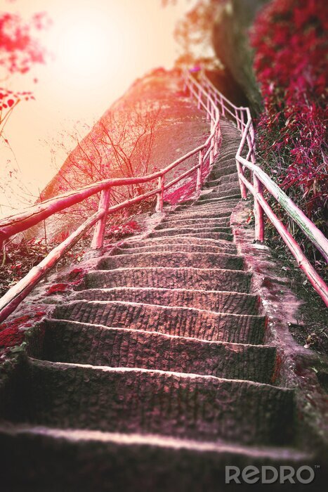 Papier peint  Escaliers sur la montagne