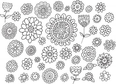 Papier peint  Espèces de fleurs dessinées