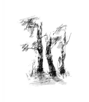 Papier peint  Esquisse d'un arbre en noir et blanc