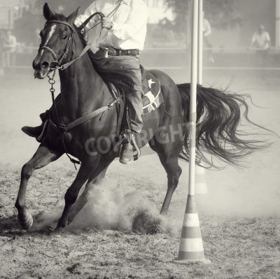 Papier peint  Etalon avec un cavalier rodéo