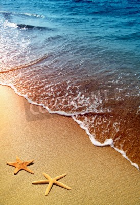 Papier peint  Étoiles sur la plage et mer tropicale