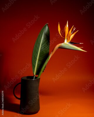 Papier peint  Exotic Delights: Strelitzia Flower and Leaf in Clay Vase on an Orange Background