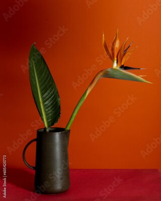Papier peint  Exotic Delights: Strelitzia Flower and Leaf in Clay Vase on an Orange Background