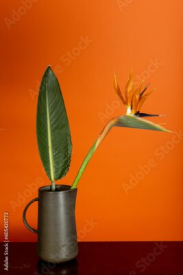 Papier peint  Exotic Delights: Strelitzia Flower and Leaf in Clay Vase on an Orange Background