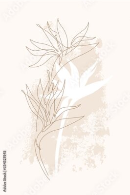 Papier peint  Exotic flower continuous line illustration. One line art. Minimal strelitzia silhouette and single line drawing