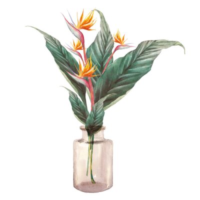 Papier peint  Exotic flower illustration on white background. Strelitzia royal and green leaves. Bird of Paradise plant bouquet in glass bottle. Botanical home decor. Isolated illustration on white background