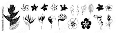 Papier peint  Exotic flowers glyph set. Tropical botanical floral black shape flat plants. Wild flowers monochrome collection. Hawaiian silhouette jungle. Plumeria, heliconia and strelitzia. Vector illustration
