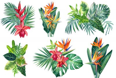 Papier peint  Exotic flowers, orchid, strelitzia, palm leaves, watercolor botanical illustration, tropical floral, jungle design