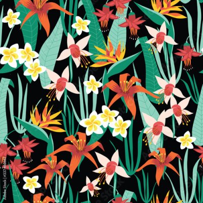 Papier peint  Exotic flowers seamless vector pattern. Tropical Frangipani, Plumeria, Lily, Fuchsia, Strelitzia reginae, Bird of Paradise Flower on a black background. Repeating summer florals for fabric, wallpaper