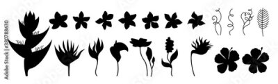 Papier peint  Exotic flowers silhouette set. Tropical botanical black shape floral flat plants. Wild flowers collection. Hawaiian glyph hand drawn jungle. Plumeria, heliconia and strelitzia. Vector illustration