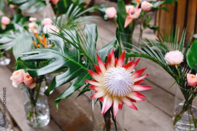 Papier peint  Exotic flowers: Strelitzia, protea, anthurium and monstera
