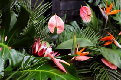Papier peint  Exotic flowers: Strelitzia, protea, anthurium and monstera