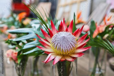 Papier peint  Exotic flowers: Strelitzia, protea, anthurium and monstera