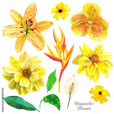 Papier peint  Exotic flowers watercolor illustrations set. Yellow hibiscus, orchid, dahlia, strelitzia floral sketch. Tropical blossom, leaves realistic watercolor cliparts. Postcard design