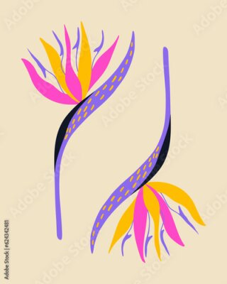 Papier peint  Exotic strelitzia flower is trippy in color. Tropical flower from the jungle. Vector element for poster, background, stickers.
