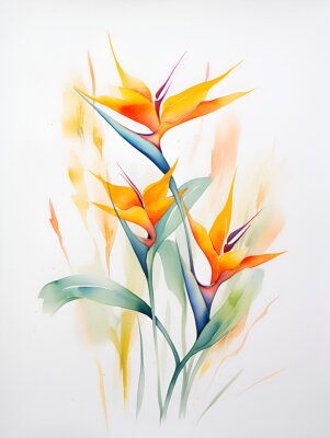 Papier peint  Exotic strelitzia flowers, bird of paradise. Watercolor on white background. For design and decoration of fabric, textile